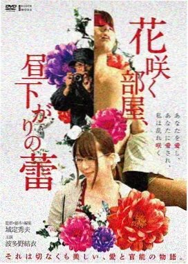 时间褶皱剧集海报